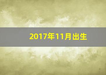 2017年11月出生