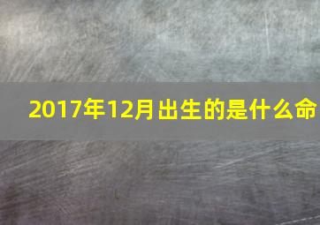 2017年12月出生的是什么命