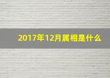 2017年12月属相是什么