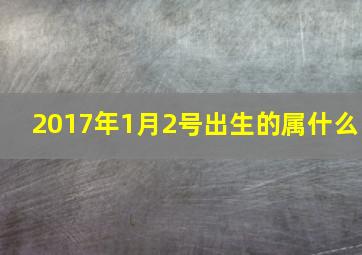 2017年1月2号出生的属什么