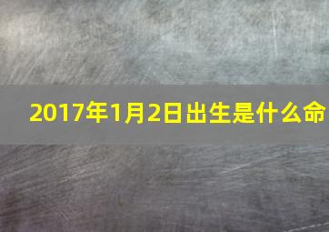 2017年1月2日出生是什么命