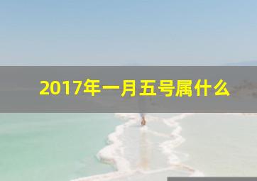 2017年一月五号属什么