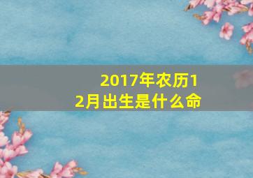 2017年农历12月出生是什么命