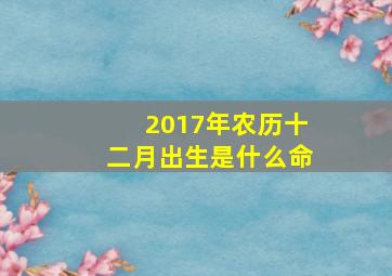 2017年农历十二月出生是什么命