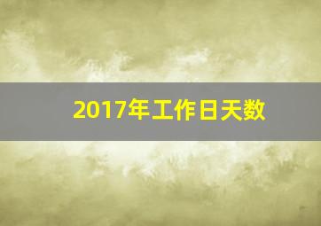 2017年工作日天数