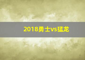 2018勇士vs猛龙