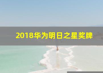 2018华为明日之星奖牌