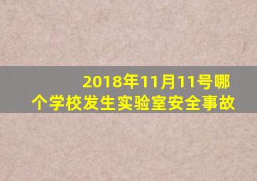 2018年11月11号哪个学校发生实验室安全事故