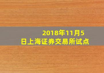 2018年11月5日上海证券交易所试点