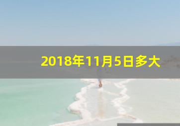 2018年11月5日多大