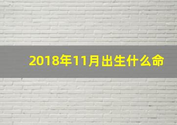 2018年11月出生什么命