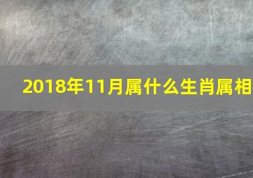 2018年11月属什么生肖属相