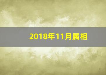 2018年11月属相