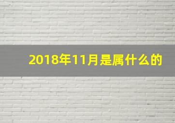 2018年11月是属什么的