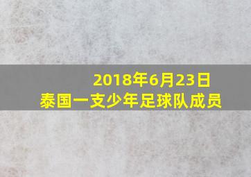 2018年6月23日泰国一支少年足球队成员