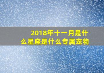 2018年十一月是什么星座是什么专属宠物