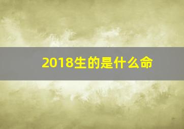 2018生的是什么命