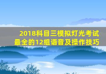 2018科目三模拟灯光考试最全的12组语音及操作技巧