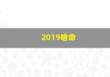 2019啥命