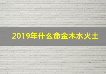 2019年什么命金木水火土