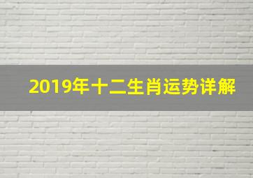 2019年十二生肖运势详解