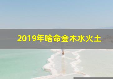 2019年啥命金木水火土