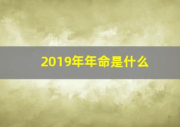 2019年年命是什么