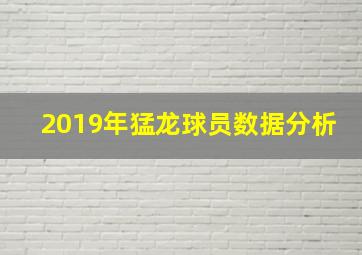 2019年猛龙球员数据分析