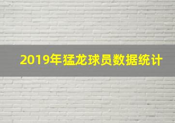 2019年猛龙球员数据统计