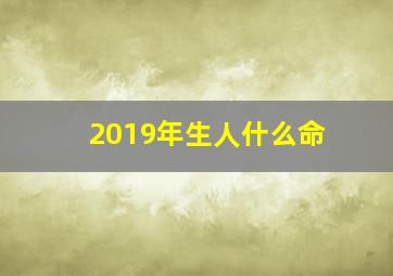 2019年生人什么命