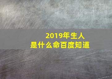 2019年生人是什么命百度知道