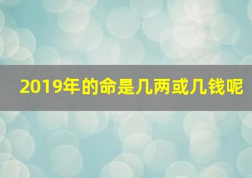 2019年的命是几两或几钱呢