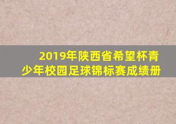 2019年陕西省希望杯青少年校园足球锦标赛成绩册