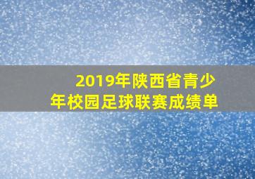 2019年陕西省青少年校园足球联赛成绩单