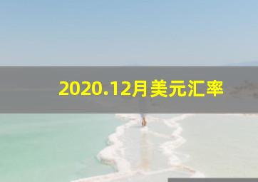 2020.12月美元汇率