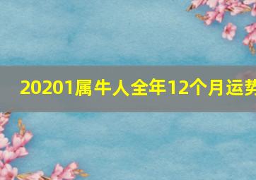 20201属牛人全年12个月运势