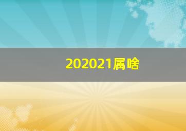 202021属啥