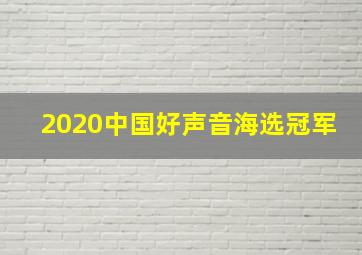 2020中国好声音海选冠军