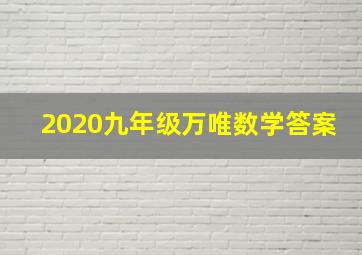 2020九年级万唯数学答案