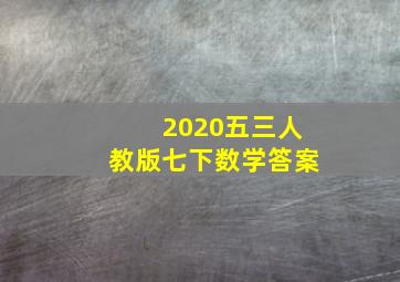 2020五三人教版七下数学答案