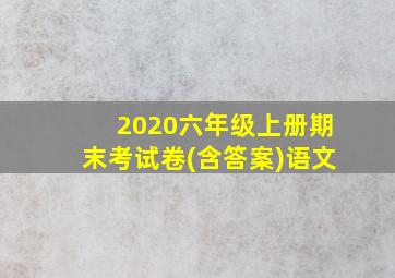 2020六年级上册期末考试卷(含答案)语文