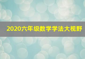 2020六年级数学学法大视野