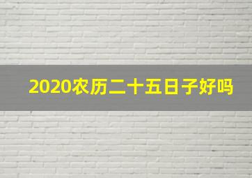 2020农历二十五日子好吗