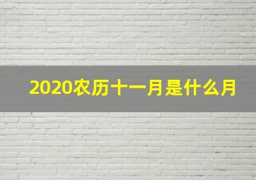 2020农历十一月是什么月