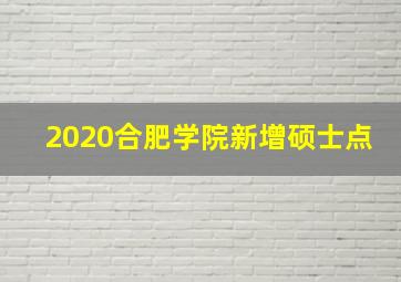 2020合肥学院新增硕士点