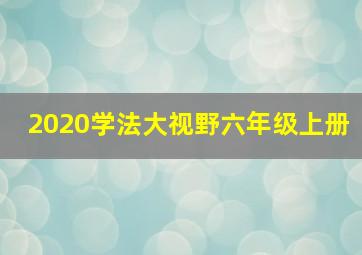 2020学法大视野六年级上册