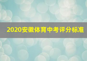 2020安徽体育中考评分标准