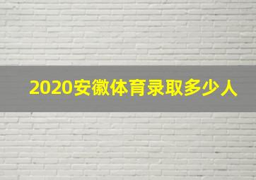 2020安徽体育录取多少人