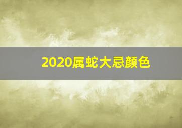 2020属蛇大忌颜色