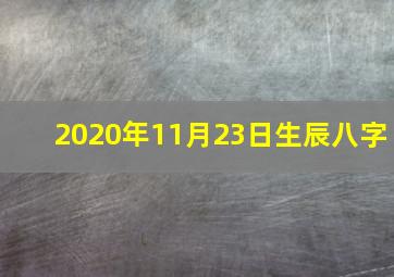 2020年11月23日生辰八字